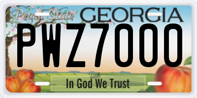 GA license plate PWZ7000