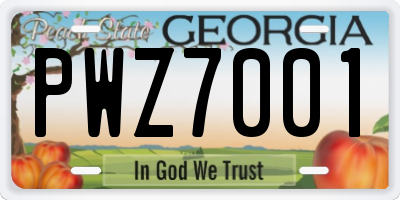 GA license plate PWZ7001