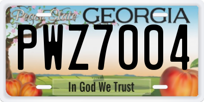 GA license plate PWZ7004