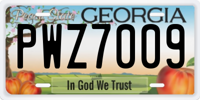 GA license plate PWZ7009