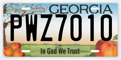 GA license plate PWZ7010