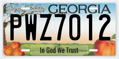 GA license plate PWZ7012