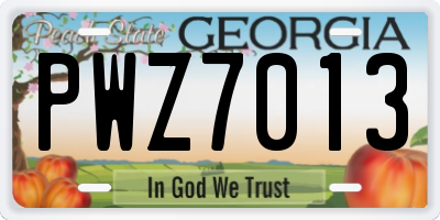 GA license plate PWZ7013