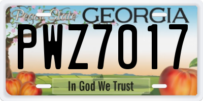 GA license plate PWZ7017