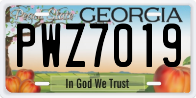 GA license plate PWZ7019