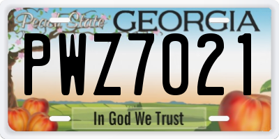 GA license plate PWZ7021
