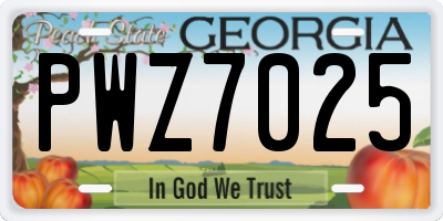 GA license plate PWZ7025