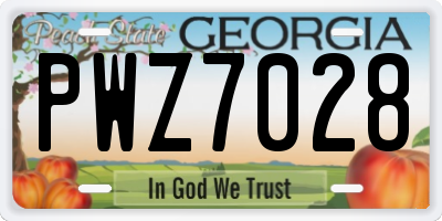 GA license plate PWZ7028