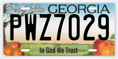 GA license plate PWZ7029