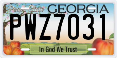 GA license plate PWZ7031