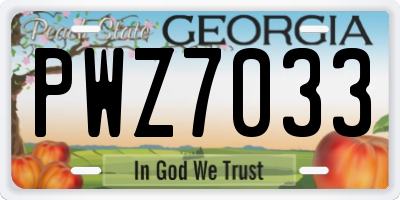 GA license plate PWZ7033