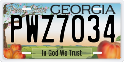 GA license plate PWZ7034