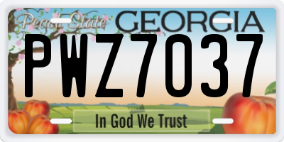 GA license plate PWZ7037