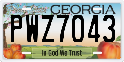 GA license plate PWZ7043