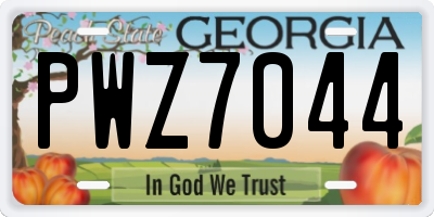 GA license plate PWZ7044