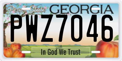 GA license plate PWZ7046