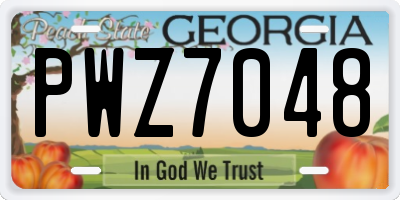 GA license plate PWZ7048
