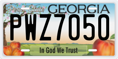 GA license plate PWZ7050