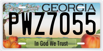GA license plate PWZ7055