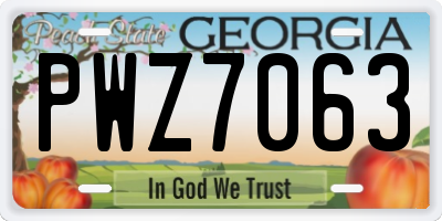 GA license plate PWZ7063
