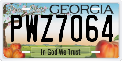 GA license plate PWZ7064