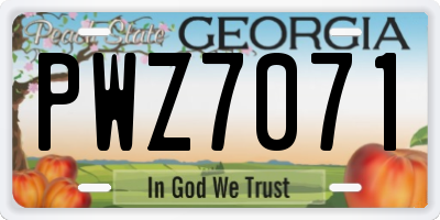 GA license plate PWZ7071