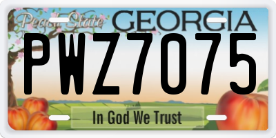 GA license plate PWZ7075