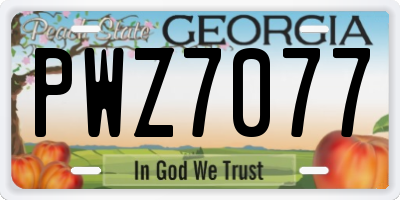 GA license plate PWZ7077