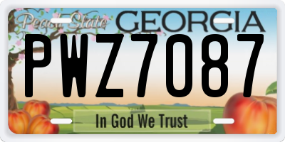 GA license plate PWZ7087