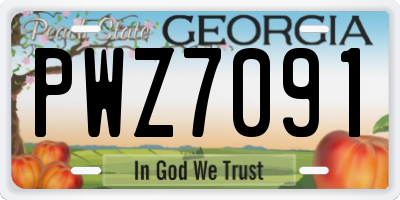 GA license plate PWZ7091