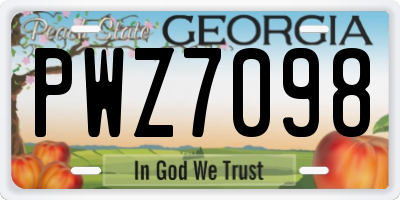 GA license plate PWZ7098