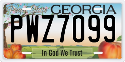GA license plate PWZ7099