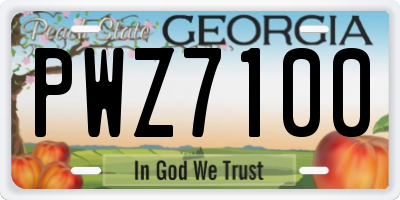 GA license plate PWZ7100