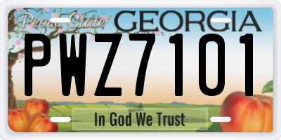 GA license plate PWZ7101