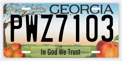 GA license plate PWZ7103