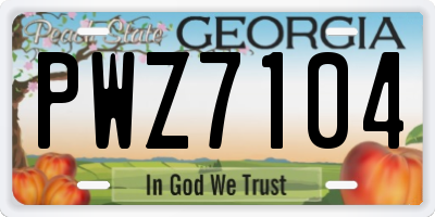 GA license plate PWZ7104