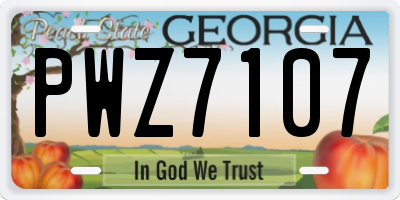 GA license plate PWZ7107