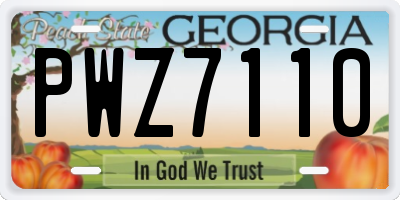 GA license plate PWZ7110