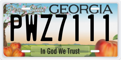 GA license plate PWZ7111