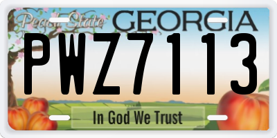 GA license plate PWZ7113