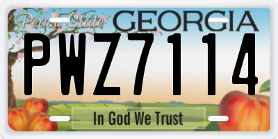 GA license plate PWZ7114