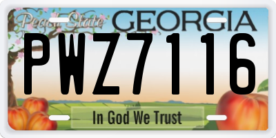 GA license plate PWZ7116