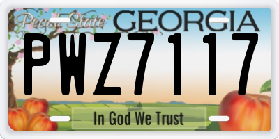 GA license plate PWZ7117