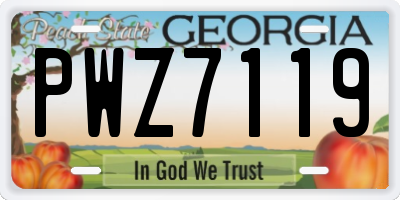 GA license plate PWZ7119