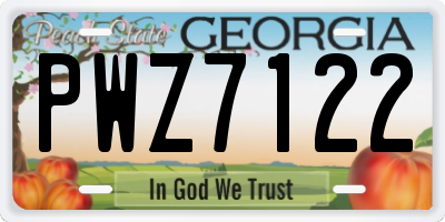 GA license plate PWZ7122