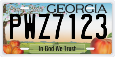 GA license plate PWZ7123