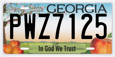 GA license plate PWZ7125