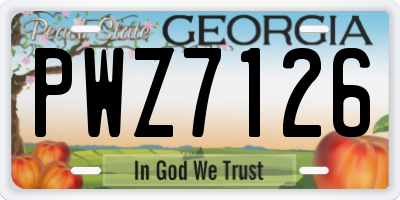 GA license plate PWZ7126