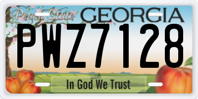 GA license plate PWZ7128