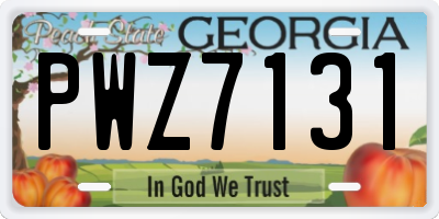GA license plate PWZ7131